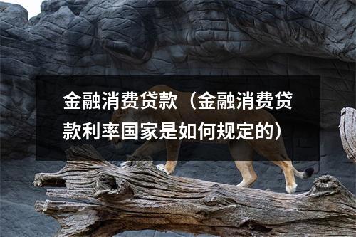 金融消费贷款（金融消费贷款利率国家是如何规定的）