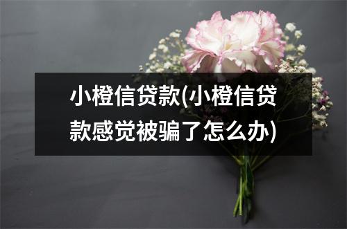 小橙信贷款(小橙信贷款感觉被骗了怎么办)