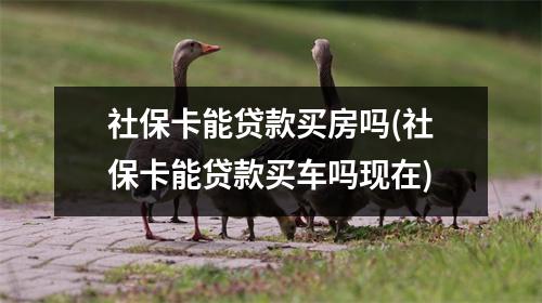 社保卡能贷款买房吗(社保卡能贷款买车吗现在)