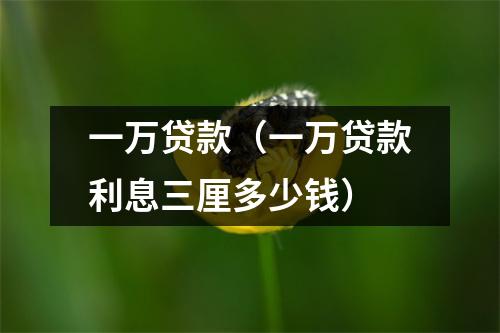 一万贷款（一万贷款利息三厘多少钱）