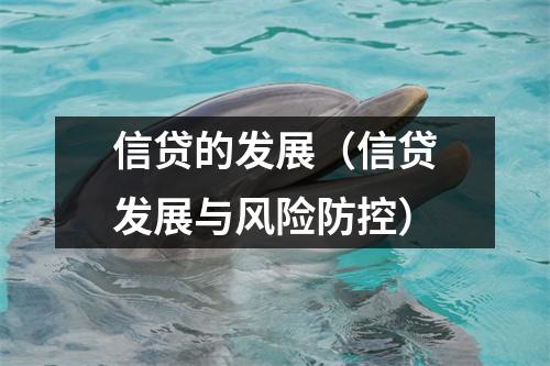 信贷的发展（信贷发展与风险防控）