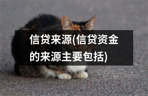 信贷来源(信贷资金的来源主要包括)