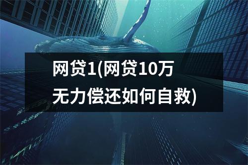 网贷1(网贷10万无力偿还如何自救)