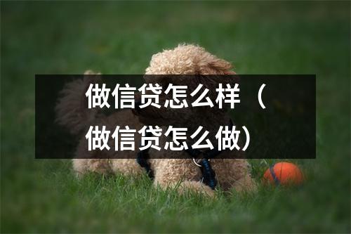 做信贷怎么样（做信贷怎么做）