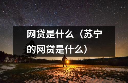 网贷是什么(苏宁的网贷是什么)