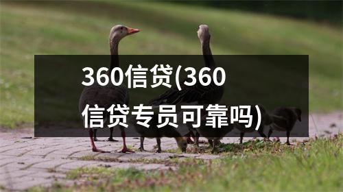360信贷(360信贷专员可靠吗)
