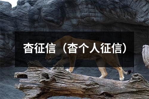 杳征信（杳个人征信）