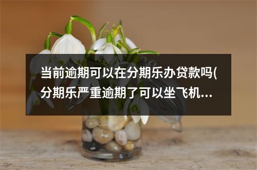 当前逾期可以在分期乐办贷款吗(分期乐严重逾期了可以坐飞机吗?)