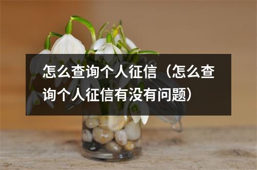 怎么查询个人征信（怎么查询个人征信有没有问题）