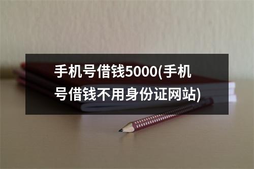 手机号借钱5000(手机号借钱不用身份证网站)