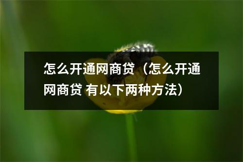 怎么开通网商贷（怎么开通网商贷 有以下两种方法）