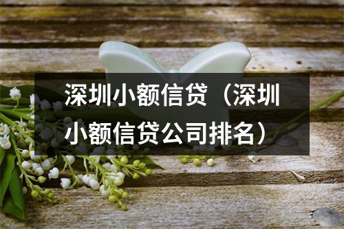 深圳小额信贷（深圳小额信贷公司排名）