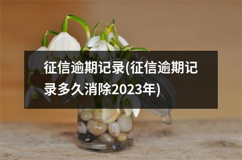 征信逾期记录(征信逾期记录多久消除2023年)
