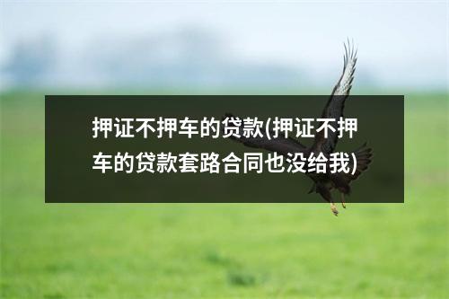 押证不押车的贷款(押证不押车的贷款套路合同也没给我)