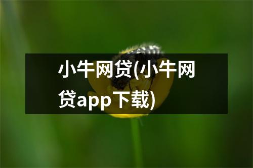 小牛网贷(小牛网贷app下载)