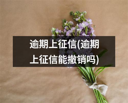 逾期上征信(逾期上征信能撤销吗)