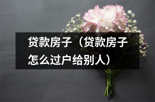 贷款房子（贷款房子怎么过户给别人）