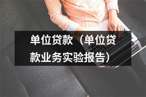 单位贷款（单位贷款业务实验报告）