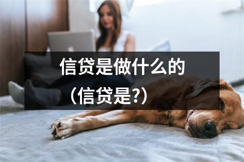 信贷是做什么的（信贷是?）