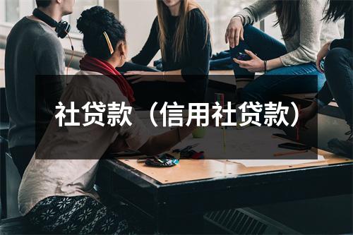 社贷款（信用社贷款）