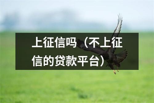上征信吗（不上征信的贷款平台）