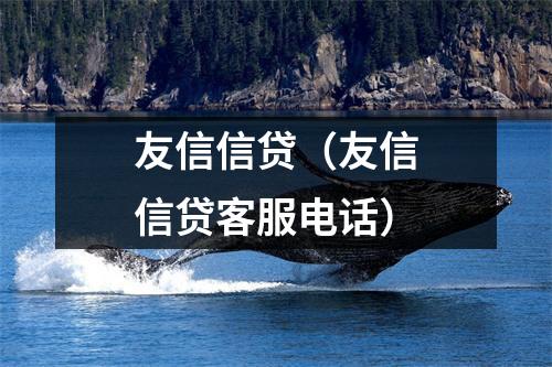友信信贷（友信信贷客服电话）