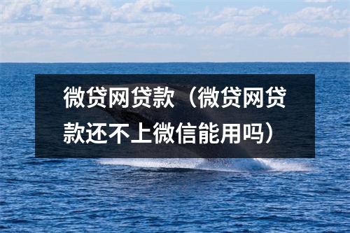 微贷网贷款（微贷网贷款还不上微信能用吗）