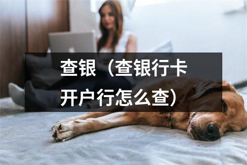 查银(查银行卡开户行怎么查)