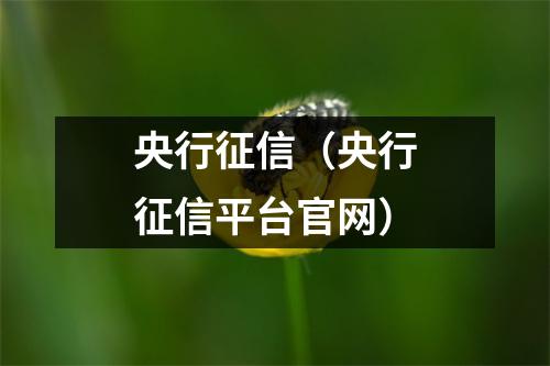 央行征信（央行征信平台官网）