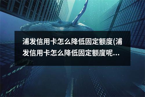 浦发信用卡怎么降低固定额度(浦发信用卡怎么降低固定额度呢)