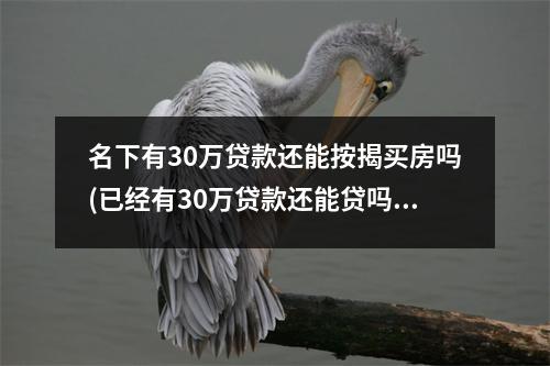 名下有30万贷款还能按揭买房吗(已经有30万贷款还能贷吗)
