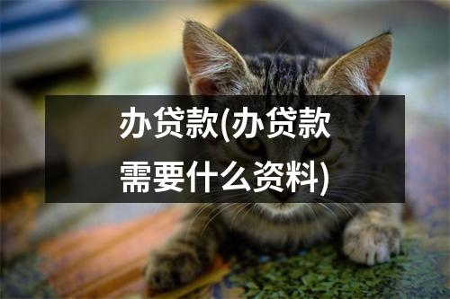办贷款(办贷款需要什么资料)