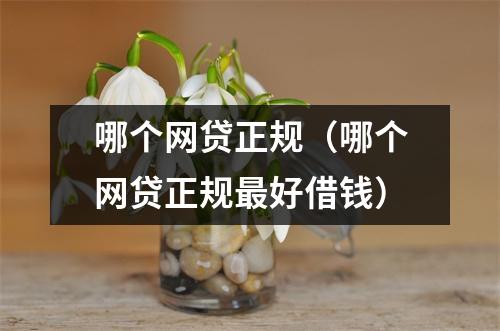 哪个网贷正规（哪个网贷正规最好借钱）