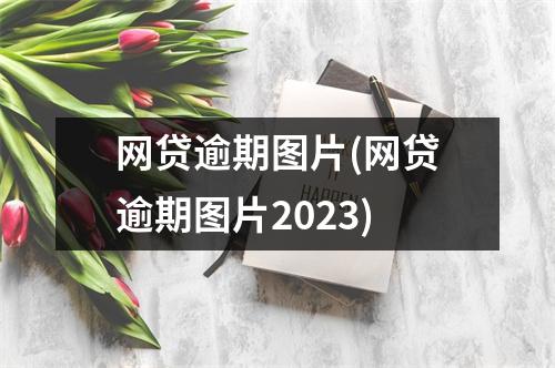 网贷逾期图片(网贷逾期图片2023)
