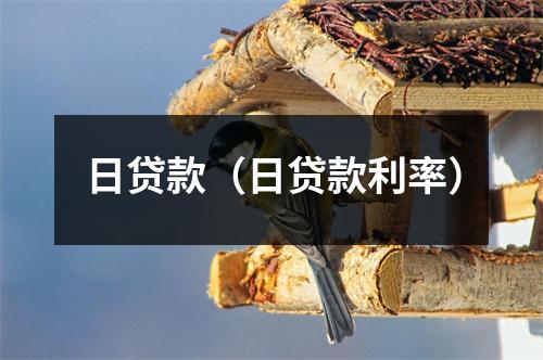 日贷款（日贷款利率）