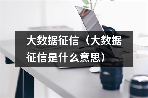 大数据征信（大数据征信是什么意思）