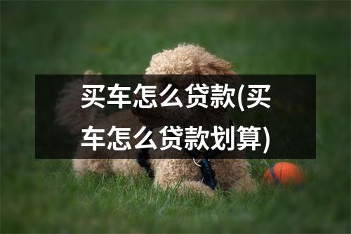 买车怎么贷款(买车怎么贷款划算)