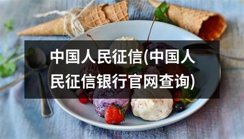 中国人民征信(中国人民征信银行官网查询)