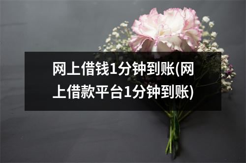 网上借钱1分钟到账(网上借款平台1分钟到账)