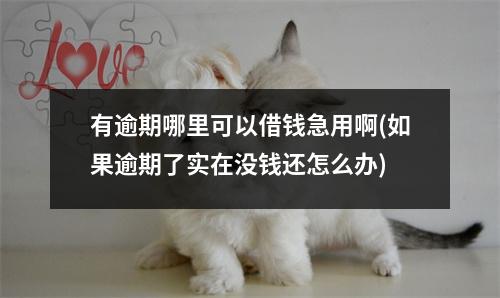 有逾期哪里可以借钱急用啊(如果逾期了实在没钱还怎么办)