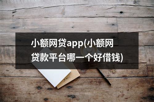 小额网贷app(小额网贷款平台哪一个好借钱)