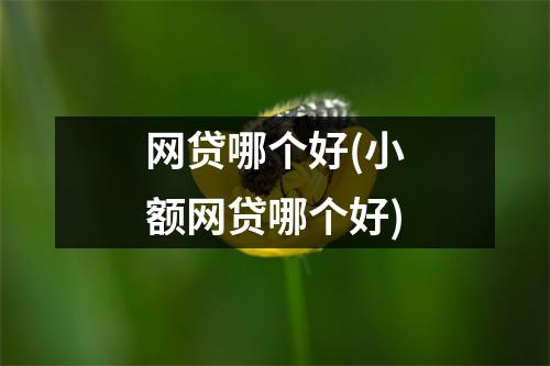 网贷哪个好(小额网贷哪个好)