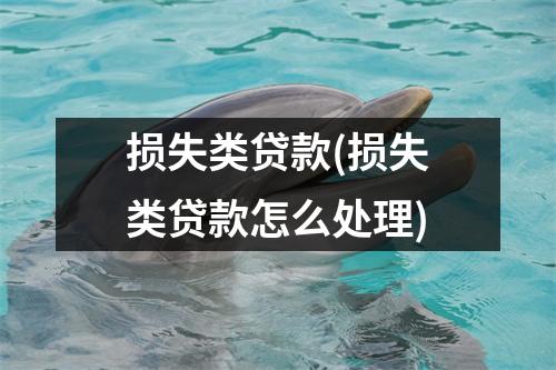 损失类贷款(损失类贷款怎么处理)