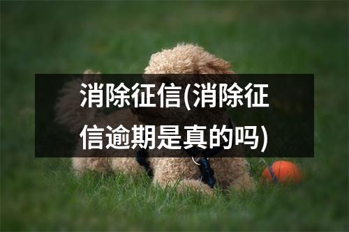 消除征信(消除征信逾期是真的吗)