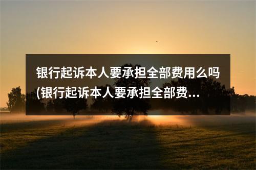 银行起诉本人要承担全部费用么吗(银行起诉本人要承担全部费用么嘛)
