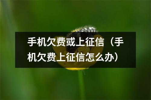 手机欠费或上征信（手机欠费上征信怎么办）