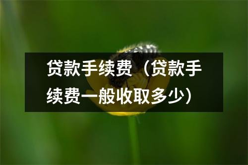贷款手续费（贷款手续费一般收取多少）