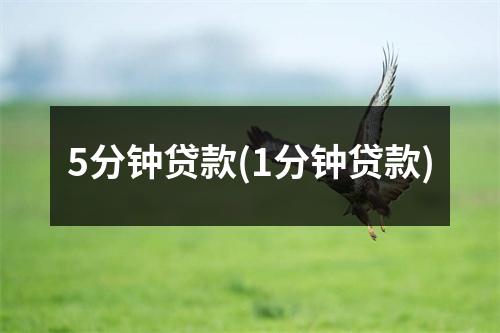 5分钟贷款(1分钟贷款)