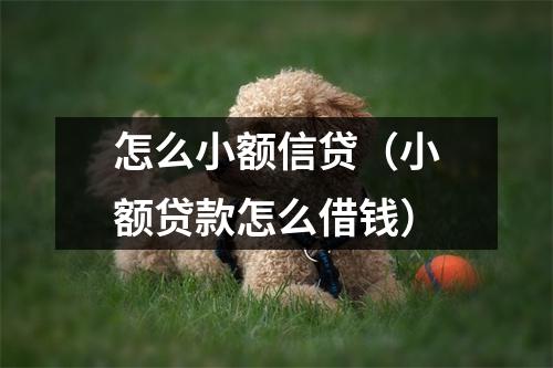 怎么小额信贷（小额贷款怎么借钱）