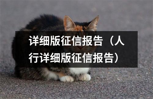 详细版征信报告（人行详细版征信报告）